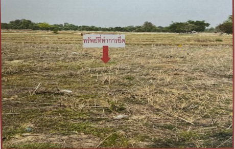 รูปที่ดินว่างเปล่า ศรีสมเด็จ สมเด็จ กาฬสินธุ์