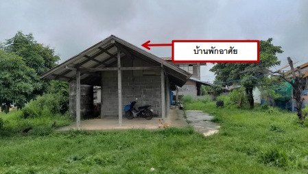 รูปที่ดินพร้อมสิ่งปลูกสร้าง กุดหว้า กุฉินารายณ์ กาฬสินธุ์