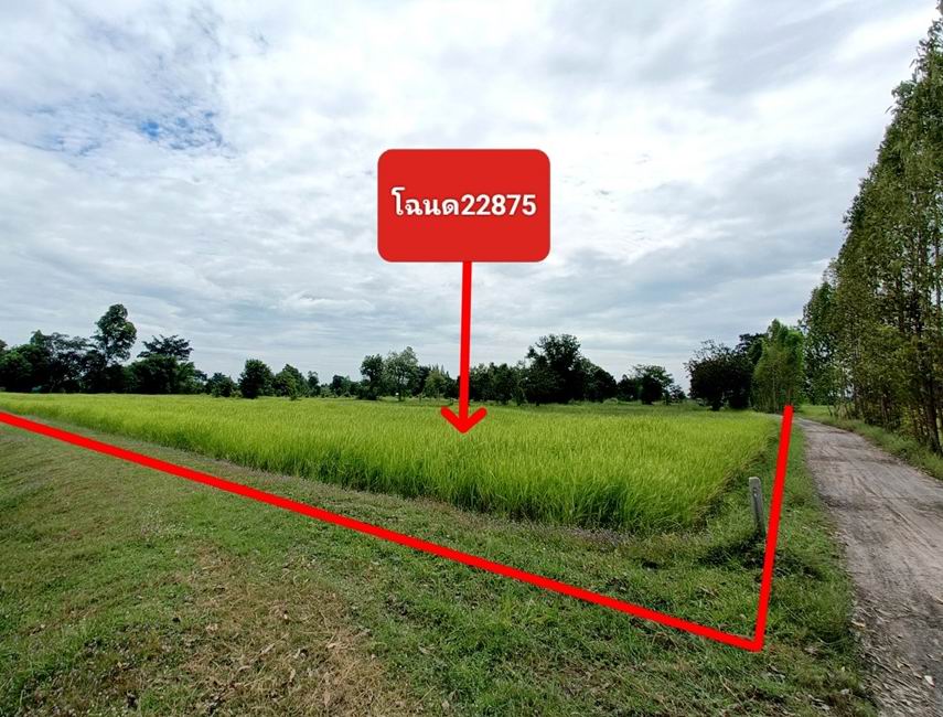 รูปที่ดินว่างเปล่า แกดำ แกดำ มหาสารคาม