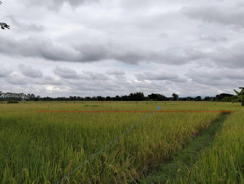 รูปที่ดินว่างเปล่า ร้องวัวแดง สันกำแพง เชียงใหม่