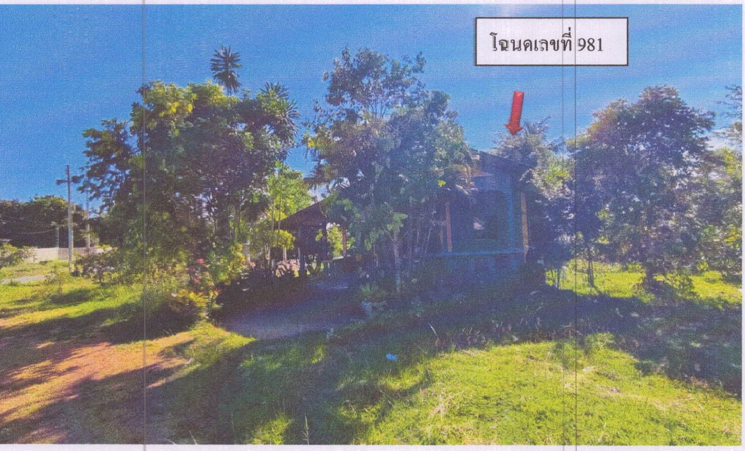 รูปที่ดินพร้อมสิ่งปลูกสร้าง รัตภูมิ ควนเนียง สงขลา