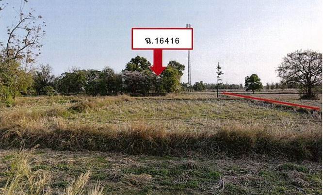 รูปที่ดินว่างเปล่า นาชุมแสง ทุ่งฝน อุดรธานี