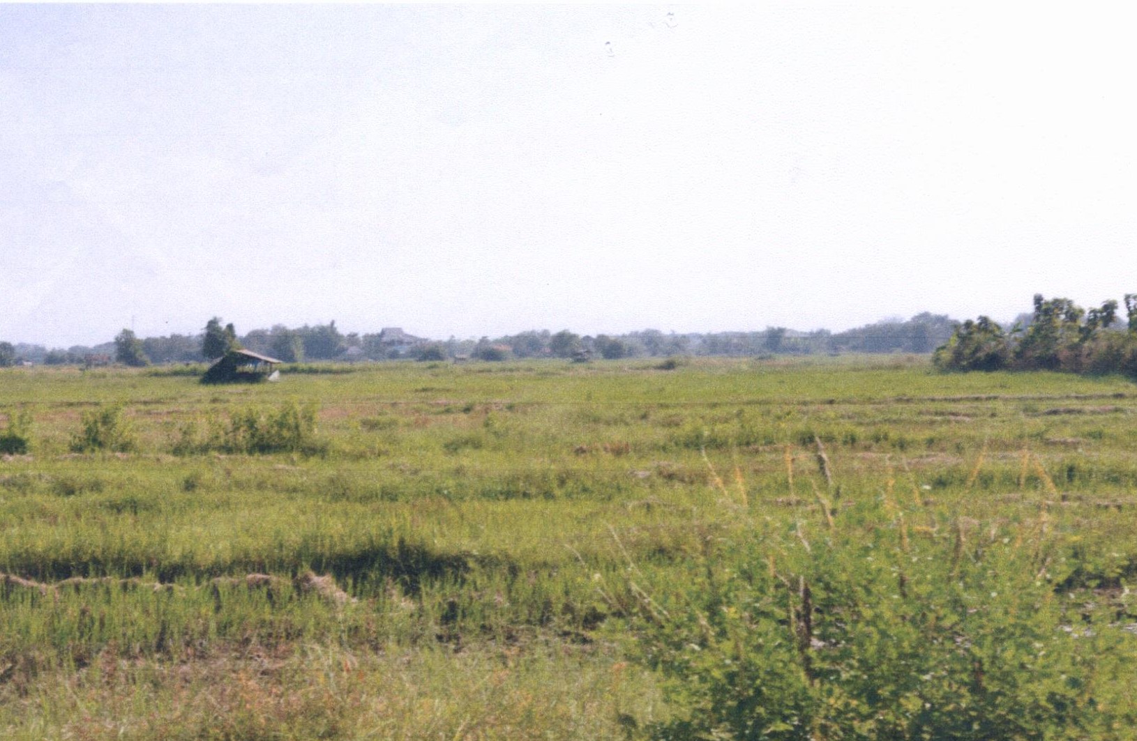 รูปที่ดินว่างเปล่า ทุ่งกวาว เมืองแพร่ แพร่