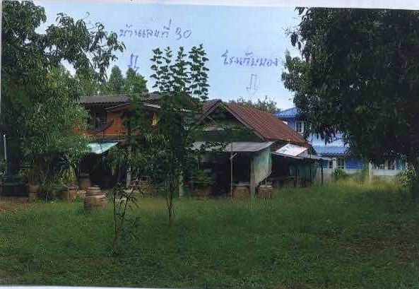 รูปที่ดินพร้อมสิ่งปลูกสร้าง ต้นมะพร้าว เมืองเพชรบุรี เพชรบุรี