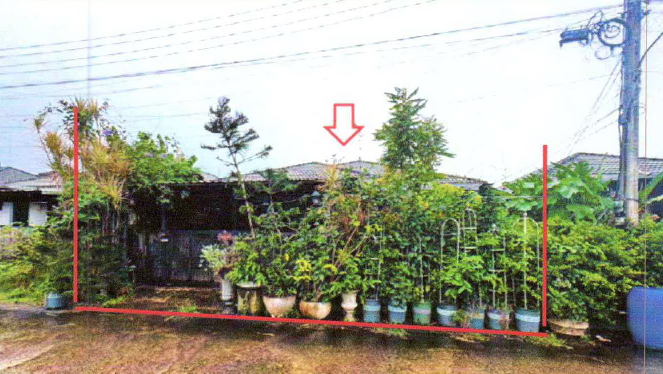 รูปที่ดินพร้อมสิ่งปลูกสร้าง ทุ่งตะไคร ทุ่งตะโก ชุมพร
