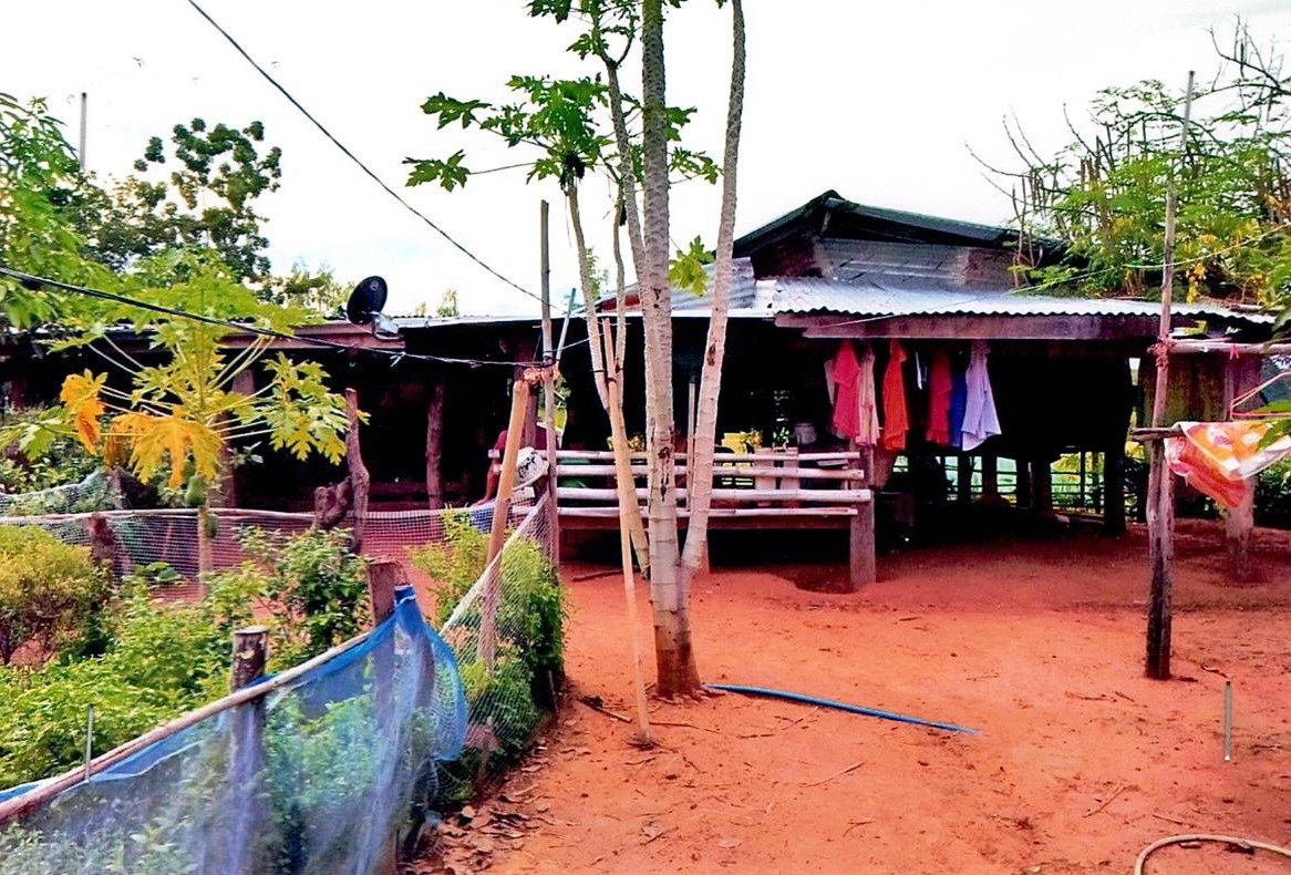 รูปที่ดินพร้อมสิ่งปลูกสร้าง โนนทอง หนองเรือ ขอนแก่น