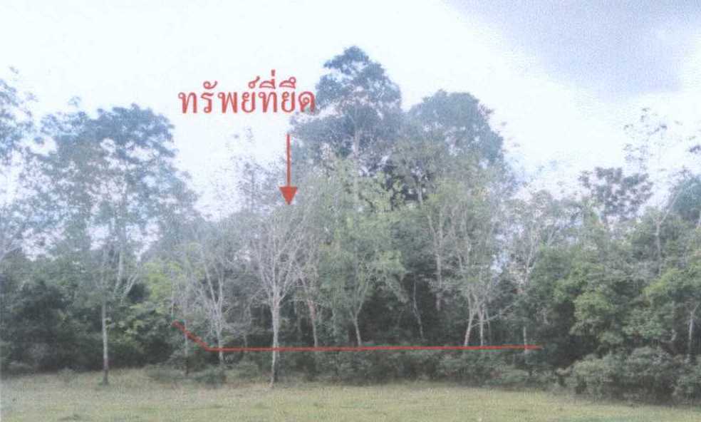 รูปที่ดินว่างเปล่า ปากู ทุ่งยางแดง ปัตตานี