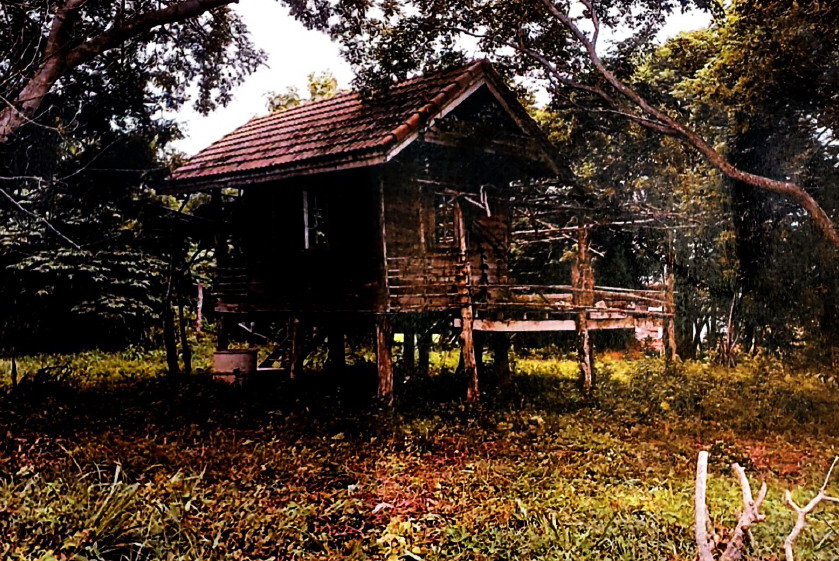 รูปที่ดินพร้อมสิ่งปลูกสร้าง อำนาจ อำเภอลืออำนาจ อำนาจเจริญ