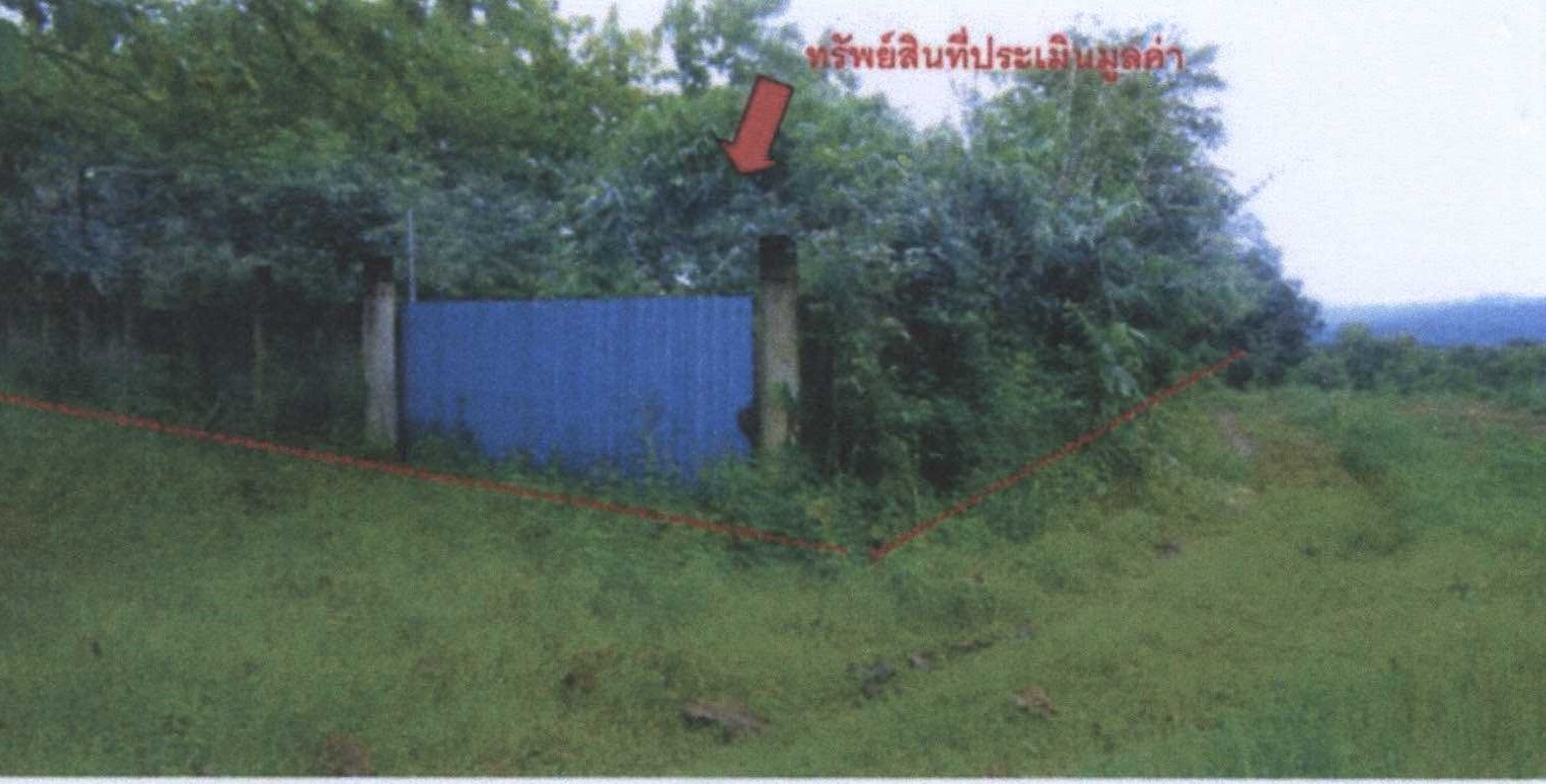 รูปที่ดินว่างเปล่า บ้านฝาย น้ำปาด อุตรดิตถ์