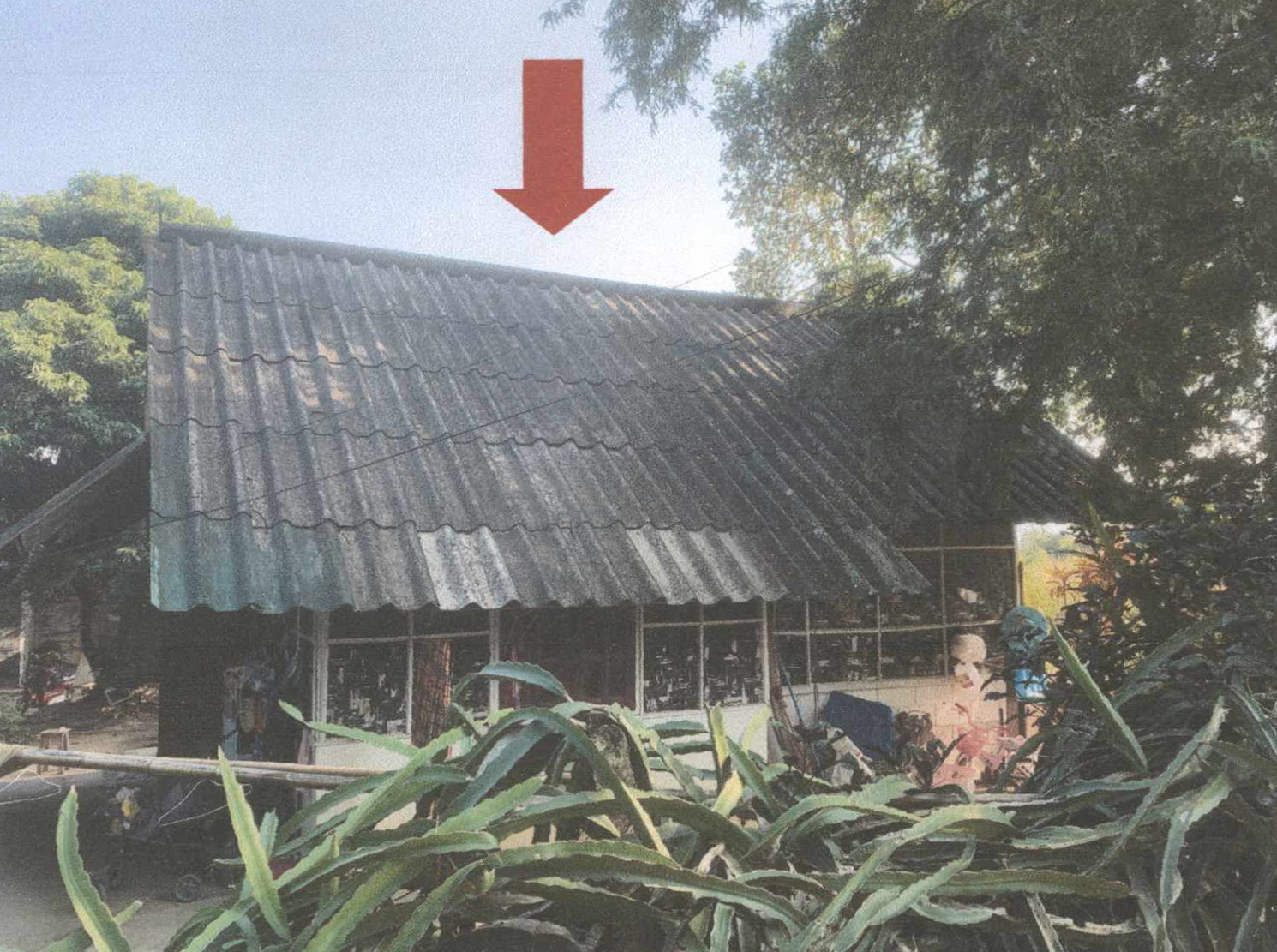 รูปที่ดินพร้อมสิ่งปลูกสร้าง (แม่อาย)มะลิกา แม่อาย เชียงใหม่