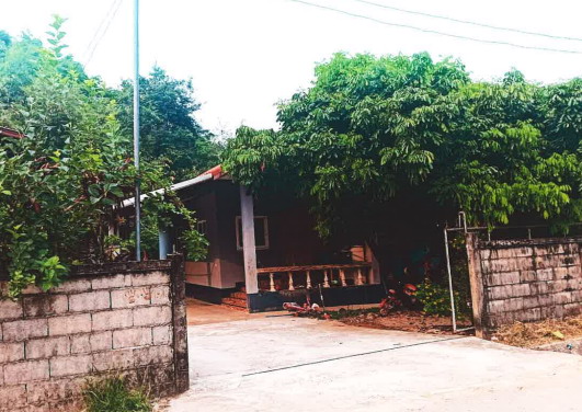 รูปที่ดินพร้อมสิ่งปลูกสร้าง ป่าตาล ขุนตาล เชียงราย