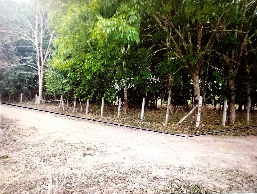 รูปที่ดินว่างเปล่า ทรายขาว พาน เชียงราย
