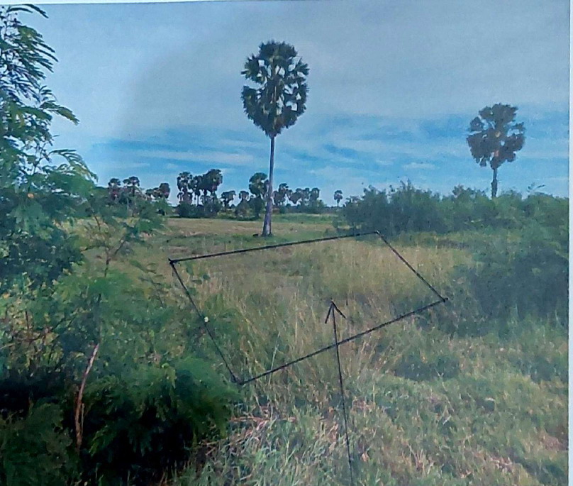 รูปที่ดินว่างเปล่า เขาพังไกร หัวไทร นครศรีธรรมราช