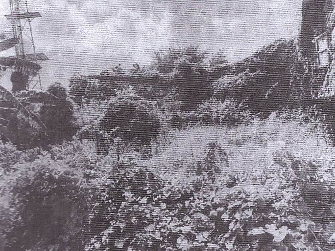 รูปที่ดินว่างเปล่า ธานี เมืองสุโขทัยธานี สุโขทัย