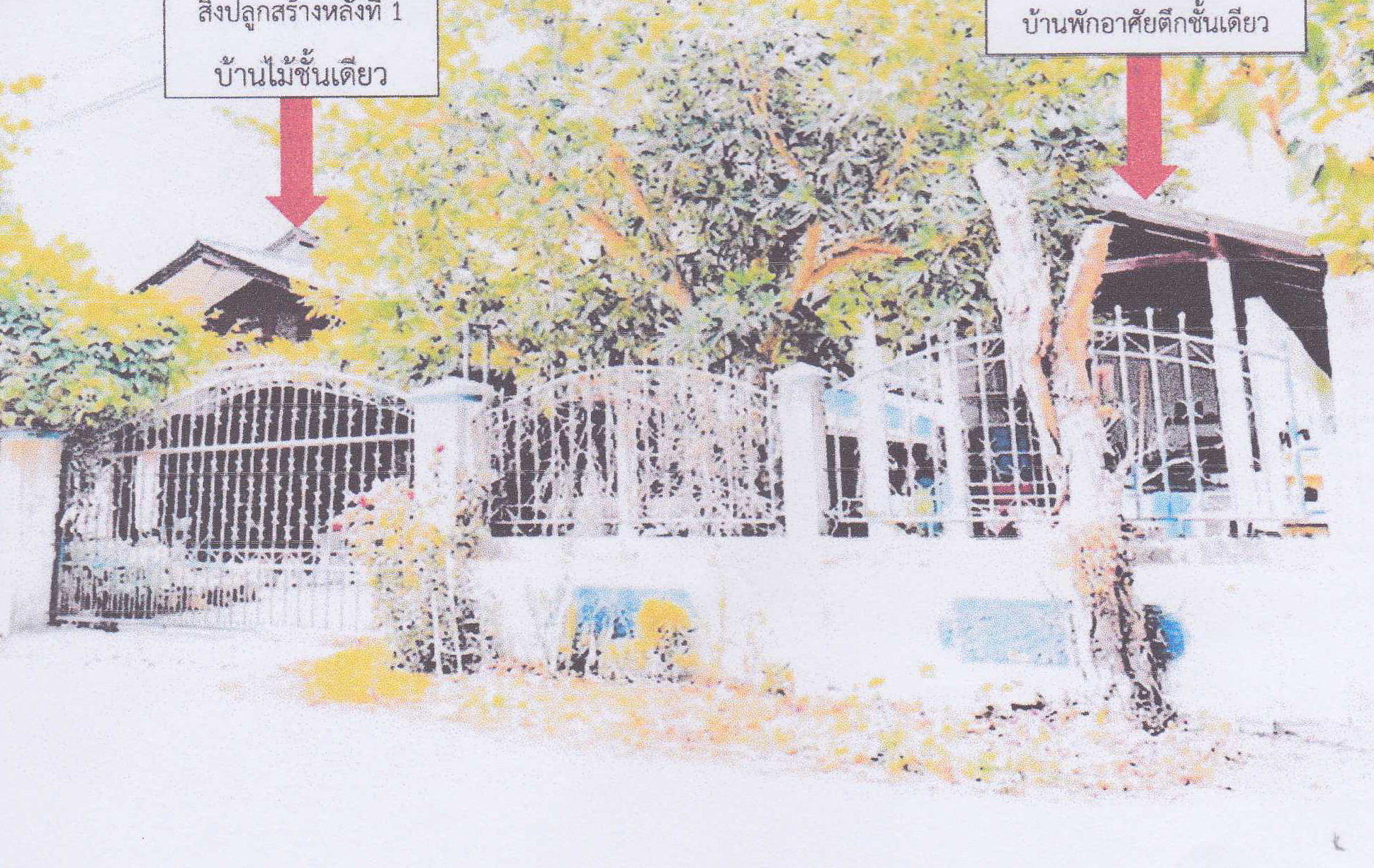 รูปที่ดินพร้อมสิ่งปลูกสร้าง แม่กุ แม่สอด ตาก