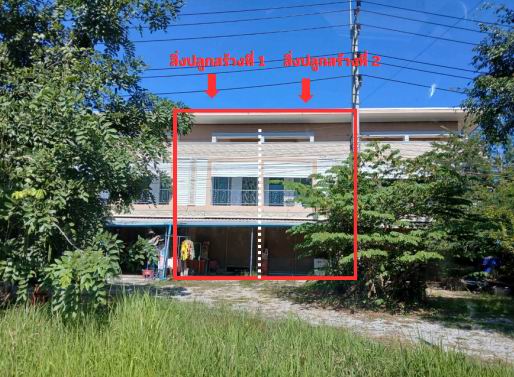 รูปที่ดินพร้อมสิ่งปลูกสร้าง สถาน เชียงของ เชียงราย