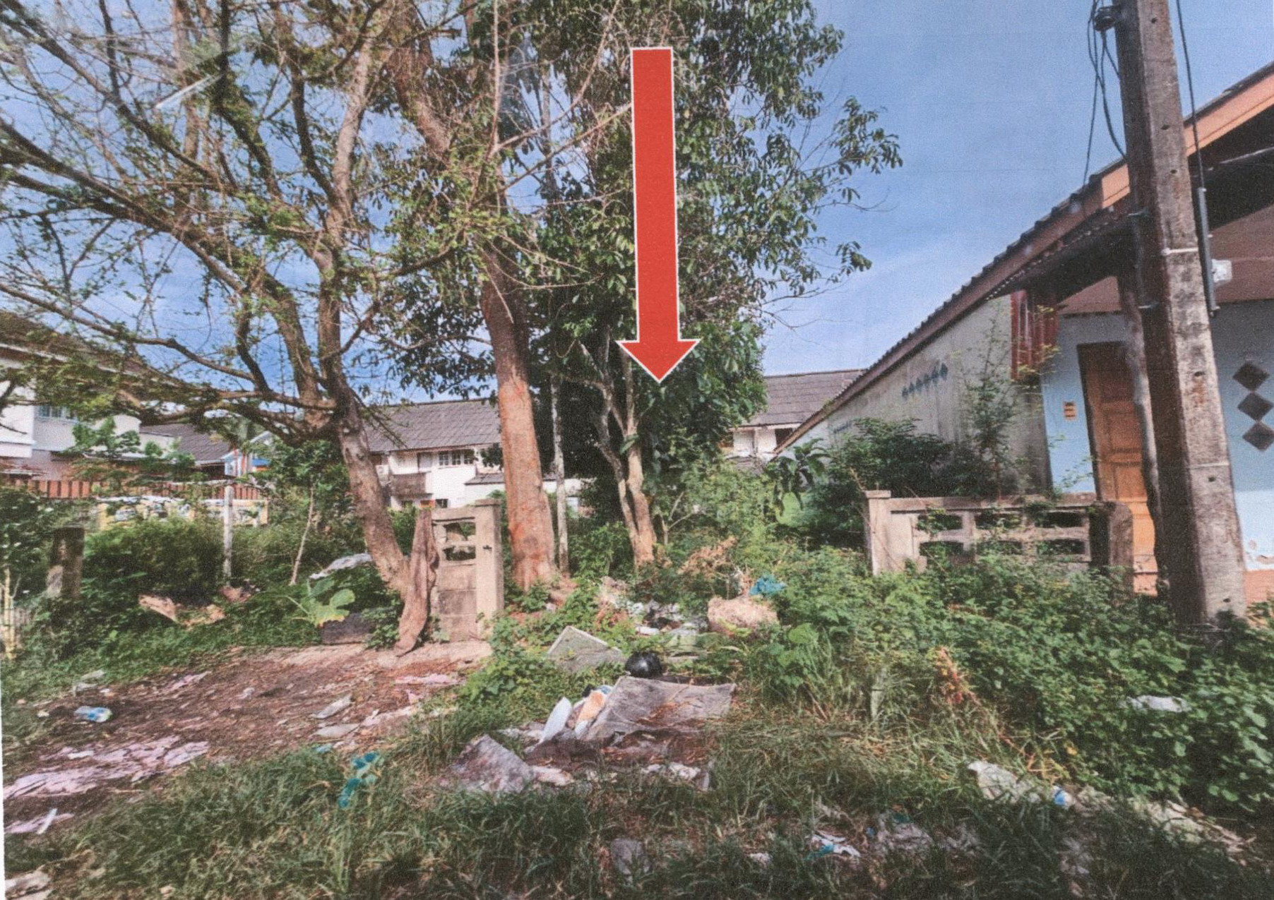 รูปที่ดินว่างเปล่า ขันเงิน หลังสวน ชุมพร