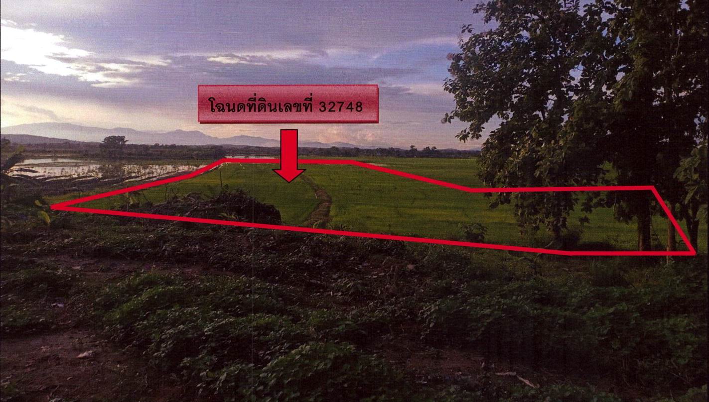 รูปที่ดินว่างเปล่า ท่าข้าวเปลือก แม่จัน เชียงราย
