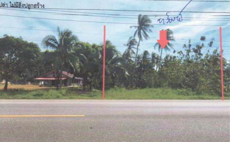 รูปที่ดินว่างเปล่า ธงชัย บางสะพาน ประจวบคีรีขันธ์