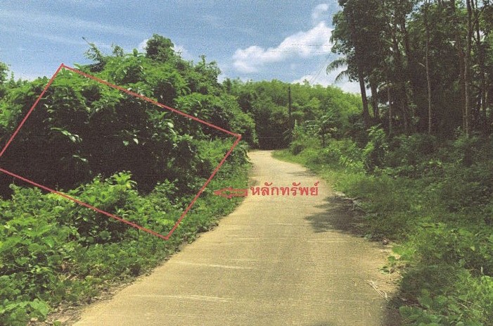 รูปที่ดินว่างเปล่า เกาะกลาง เกาะลันตา กระบี่