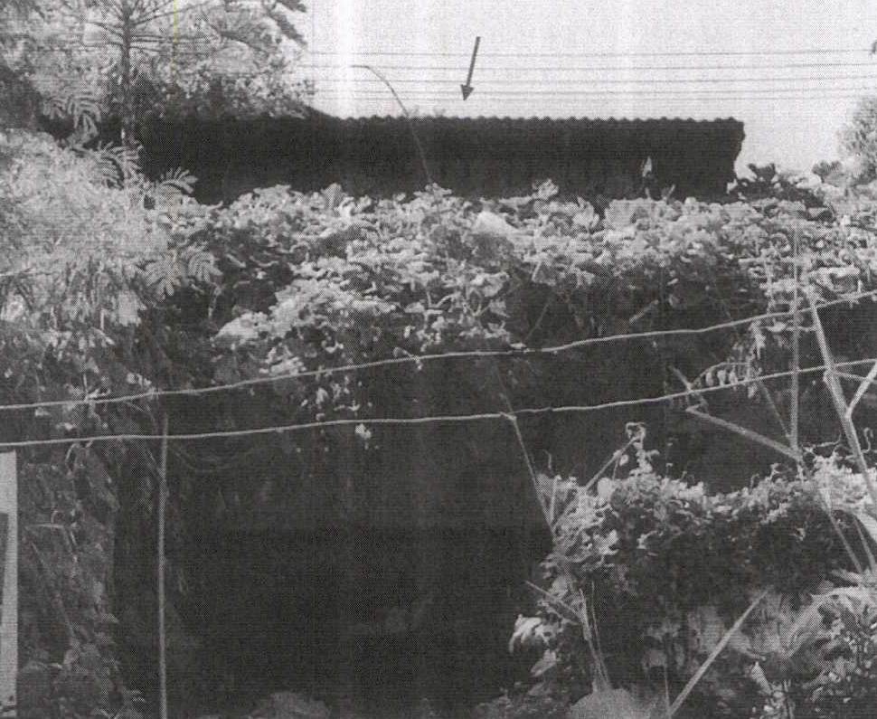 รูปที่ดินพร้อมสิ่งปลูกสร้าง นายาว พระพุทธบาท สระบุรี