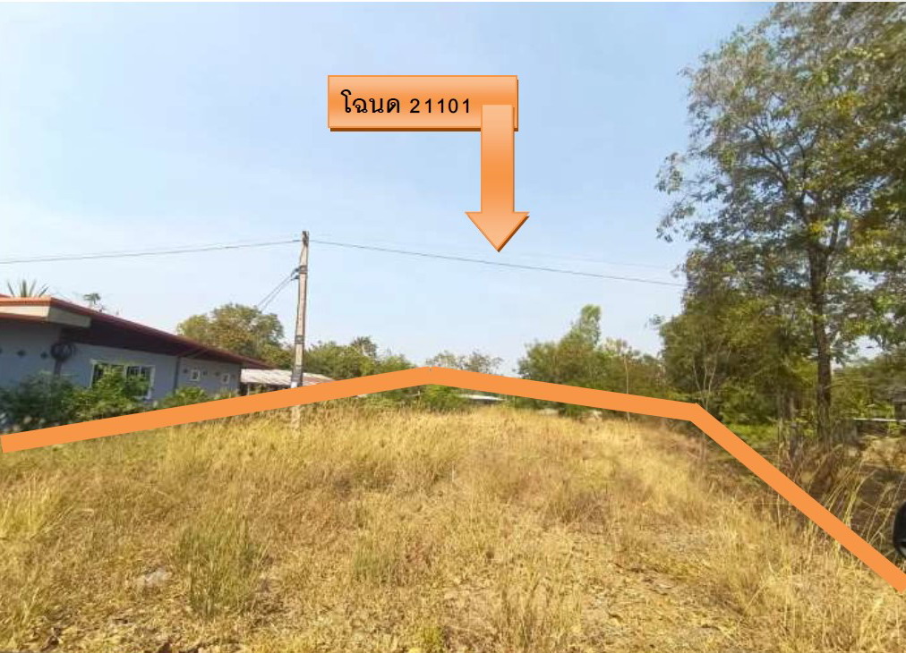 รูปที่ดินว่างเปล่า ทุ่งโพธิ์ ตะพานหิน พิจิตร