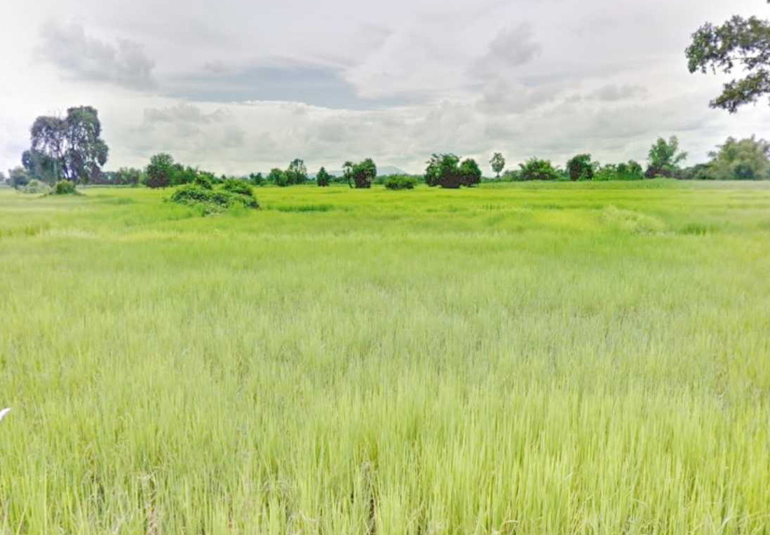 รูปที่ดินว่างเปล่า ศรีบุญเรือง ศรีบุญเรือง หนองบัวลำภู