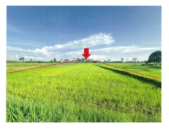 รูปที่ดินว่างเปล่า ดู่ทุ่ง เมืองยโสธร ยโสธร