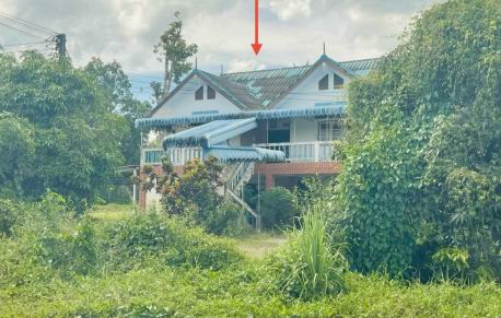 รูปที่ดินพร้อมสิ่งปลูกสร้าง ดอนตะโก ท่าศาลา นครศรีธรรมราช