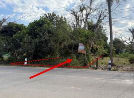 รูปที่ดินว่างเปล่า แม่สูน ฝาง เชียงใหม่