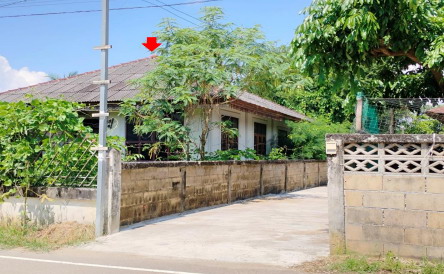 รูปที่ดินพร้อมสิ่งปลูกสร้าง ป่าแดด ป่าแดด เชียงราย