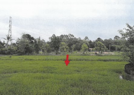 รูปที่ดินว่างเปล่า หลุบ เมืองกาฬสินธุ์ กาฬสินธุ์