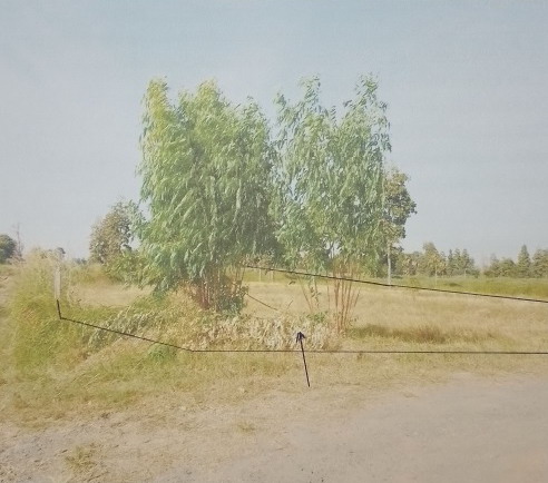 รูปที่ดินว่างเปล่า ในเมือง บ้านไผ่ ขอนแก่น