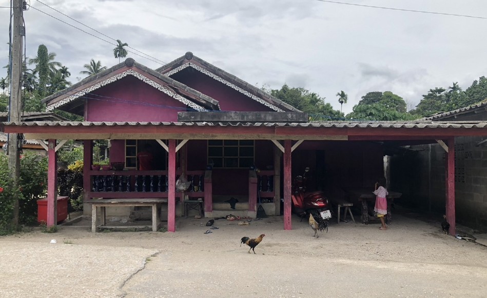 รูปที่ดินพร้อมสิ่งปลูกสร้าง โคกสะตอ รือเสาะ นราธิวาส