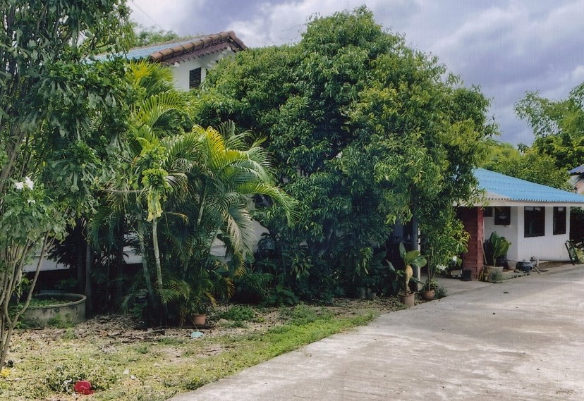 รูปที่ดินพร้อมสิ่งปลูกสร้าง บ้านต๋อม เมืองพะเยา พะเยา