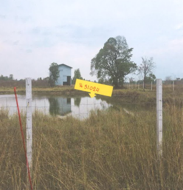 รูปที่ดินพร้อมสิ่งปลูกสร้าง หนองลาด วาริชภูมิ สกลนคร