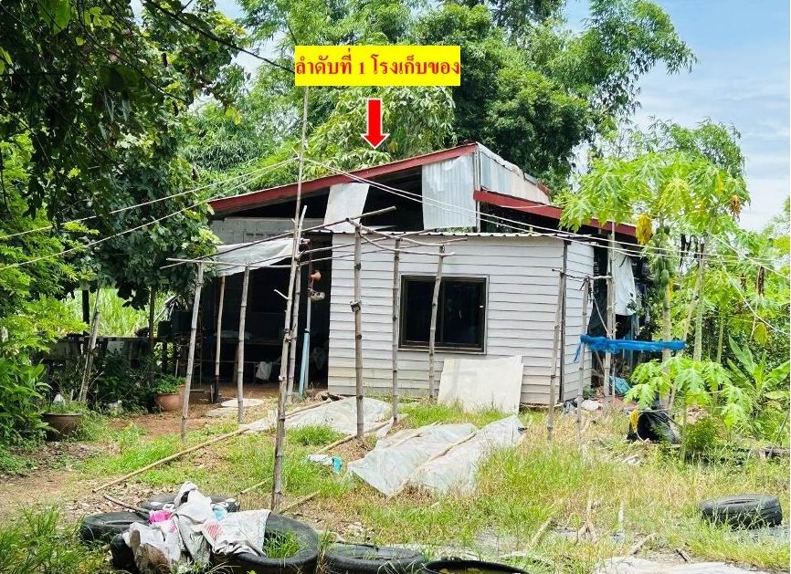 รูปที่ดินพร้อมสิ่งปลูกสร้าง นาข่า มัญจาคีรี ขอนแก่น