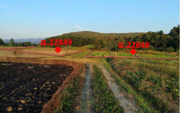 รูปที่ดินว่างเปล่า ร่มเย็น เชียงคำ พะเยา