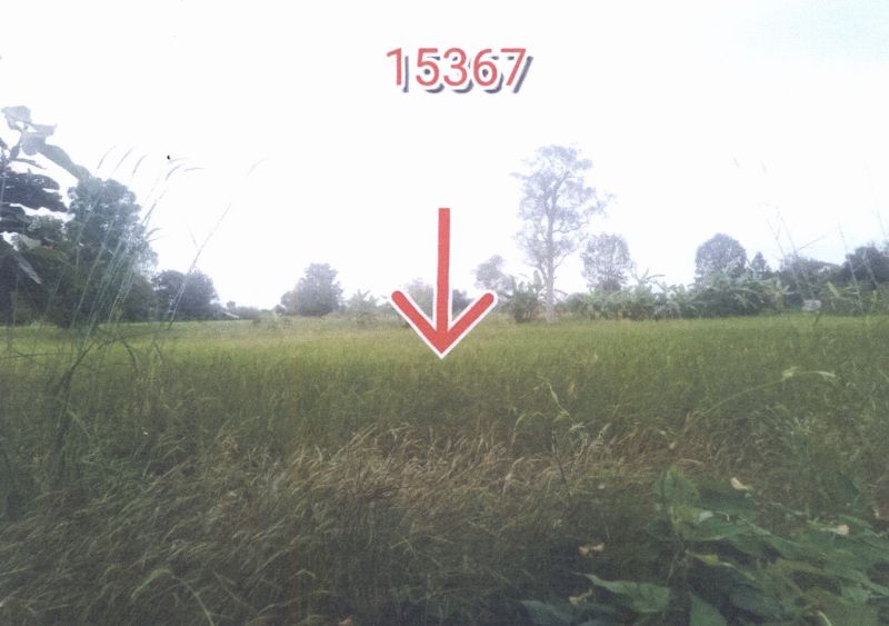 รูปที่ดินว่างเปล่า คอนฉิม แวงใหญ่ ขอนแก่น