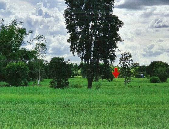 รูปที่ดินว่างเปล่า หัวโทน สุวรรณภูมิ ร้อยเอ็ด