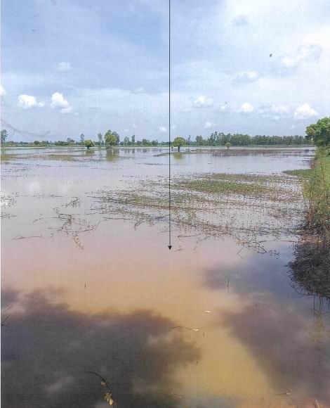 รูปที่ดินว่างเปล่า หลุบ เมืองกาฬสินธุ์ กาฬสินธุ์