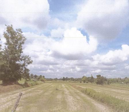 รูปที่ดินว่างเปล่า สงเปลือย นามน กาฬสินธุ์