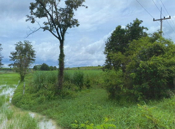 รูปที่ดินว่างเปล่า แจนแลน กุฉินารายณ์ กาฬสินธุ์