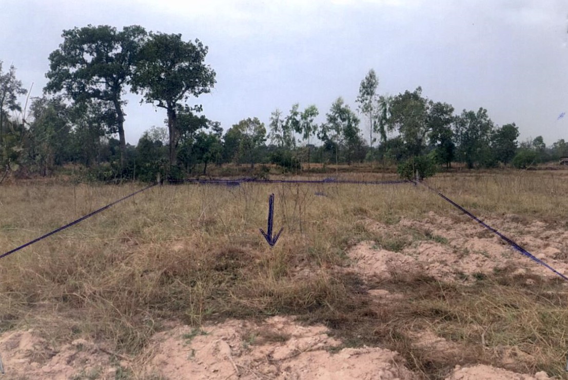 รูปที่ดินว่างเปล่า ไร่น้อย เมืองอุบลราชธานี อุบลราชธานี