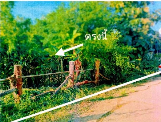 รูปที่ดินว่างเปล่า หนองทันน้ำ กุดข้าวปุ้น อุบลราชธานี
