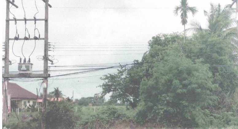 รูปที่ดินว่างเปล่า ปากแตระ ระโนด สงขลา