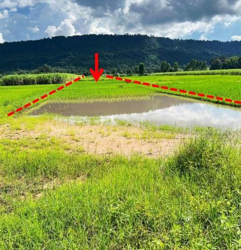 รูปที่ดินว่างเปล่า นาตาล(ท่าคันโท) ท่าคันโท กาฬสินธุ์