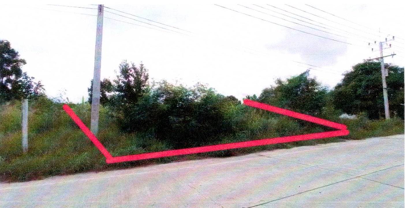 รูปที่ดินว่างเปล่า หนองไผ่แก้ว บ้านบึง ชลบุรี