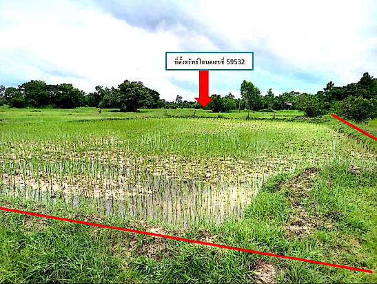 รูปที่ดินว่างเปล่า ปะอาว เมืองอุบลราชธานี อุบลราชธานี