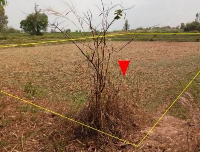 รูปที่ดินว่างเปล่า กุดจิก ท่าคันโท กาฬสินธุ์